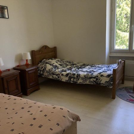 Chambres individuelles avec partie commune ou logement entier si disponible Via Rhôna Vulbens Exterior foto